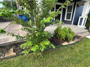 Weeding by Matthew Lafitte for Kaushiki C. in Tulsa, OK