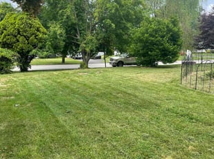 Melissa R.'s Lawn Maintenance service result