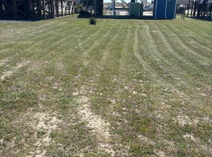 Amanda M.'s Lawn Mowing service result