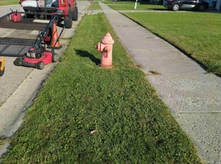Deborah W.'s Lawn Service service result