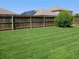 Carmela D.'s Yard Cutting service result