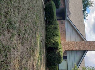 Bush Trimming by Marcedes Ginn for Jeff B. in Plano, TX