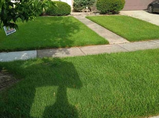 Hana R.'s Lawn Mowing service result