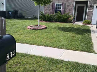 Kamaldaye M.'s Lawn Mowing Service service result