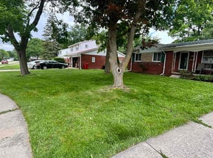 Joyce C.'s Lawn Service service result