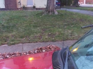 Leaf Removal by Lamont Howard for Mary S. in Columbus, OH