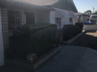 Bush Trimming by Ryan Stan for Robert S. in Phoenix, AZ