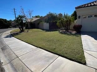 Kip S.'s Lawn Mowing service result