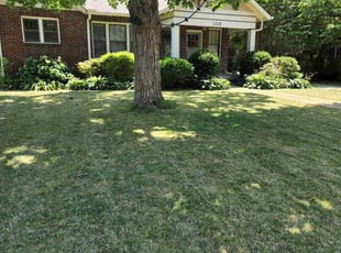 Bush Trimming by Craig Anderson for Shaun M. in Nashville, TN