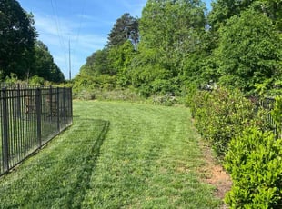 Donald H.'s Grass Cutting service result