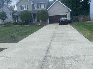 Leon S.'s Lawn Mowing service result