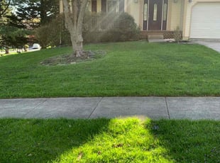 robert l.'s Lawn Care service result