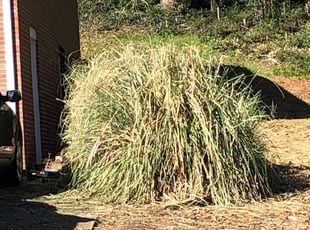 Landscaping by Eric Azcona for Relando L. in Birmingham, AL