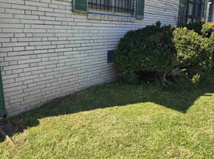 Cleanups by Dionte' Chavez for Stacey M. in Franklin, TN