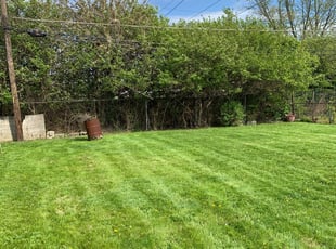 Aaron W.'s Lawn Mowing service result
