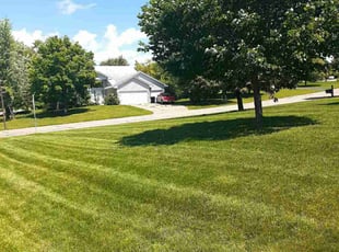 Patricia P.'s Lawn Care service result