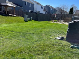 Joan Z.'s Yard Cutting service result
