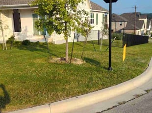 Itzel D.'s Lawn Service service result