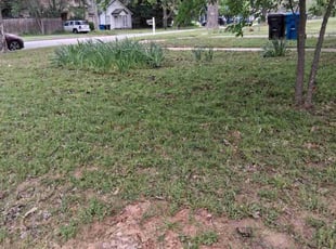 Cleanups by Michael Blakely for Courtney A. in Denison, TX