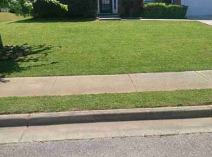 Dana K.'s Lawn Service service result
