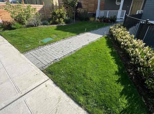 Mike D.'s Lawn Service service result