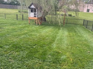 Thomas A.'s Yard Cutting service result