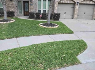 Bader A.'s Lawn Care service result