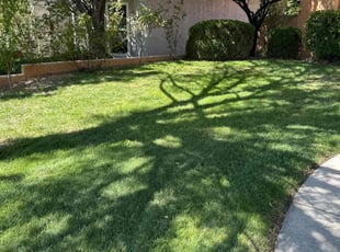 Coeta H.'s Lawn Service service result