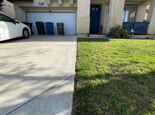 Bush Trimming by Jamielson Sardinha for Mohamed T. in Antioch, CA