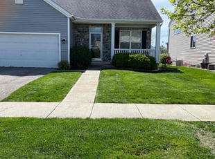 Naresh V.'s Yard Cutting service result