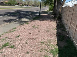 Weeding by Joshua Hines for Keith R. in Denver, CO