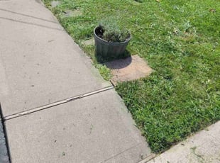 Tim M.'s Lawn Mowing service result