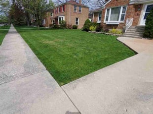 Stella I.'s Yard Cutting service result