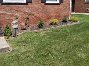 Weeding by Anthony Coleman for Marzee B. in Maple Heights, OH