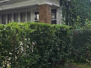 Bush Trimming by Robert Doedy for Karl R. in Milwaukee, WI