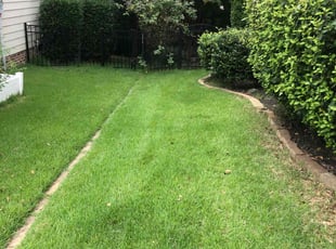 Sandra I.'s Yard Cutting service result