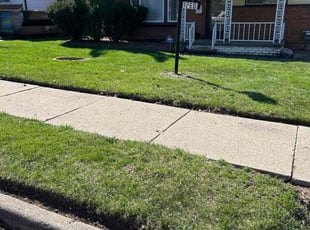 Cheryl T.'s Lawn Service service result
