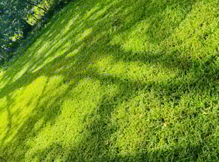 Aaron S.'s Lawn Care service result