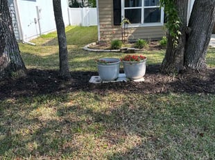 Pauline E.'s Yard Cutting service result