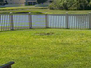Robert B.'s Lawn Mowing Service service result