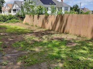 Leaf Removal by Quron Zene for Courtney T. in Hartford, CT