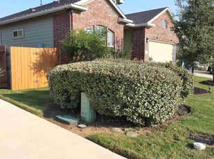 Bush Trimming by Geovanni Vargas for Allison H. in Austin, TX