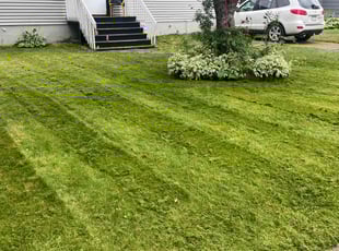 Kate B.'s Lawn Service service result