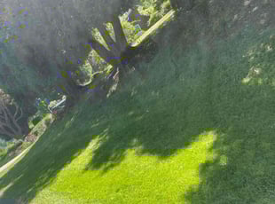 Andrea R.'s Grass Cutting service result