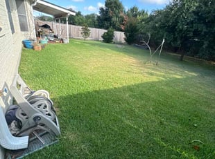 Caren M.'s Lawn Mowing Service service result