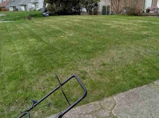 Ted M.'s Lawn Service service result