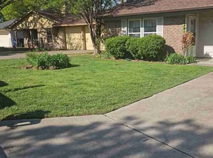Elba S.'s Lawn Mowing service result
