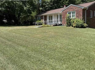 Marcia L.'s Yard Cutting service result