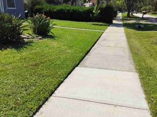 Kevin S.'s Lawn Mowing service result