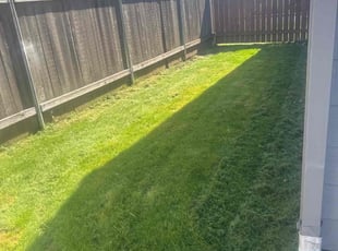 Elaine O.'s Lawn Service service result